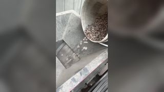 Double roller crusher