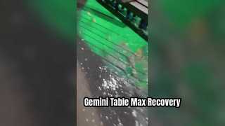 Gold Gemini Shaking Table2