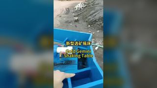 Gold Gemini Shaking Table4