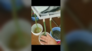 Gold Gravity Concentration Table