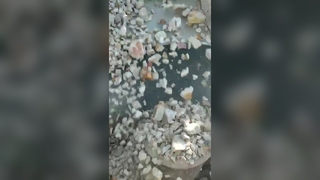 High-quality mini feeder