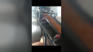 Wood Sawdust Dryer2